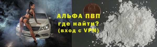 сатива Баксан