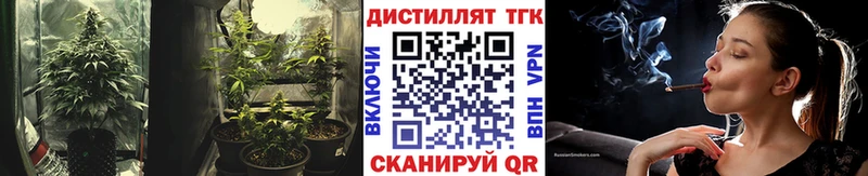 Купить где  Дальнереченск  ТГК вейп 
